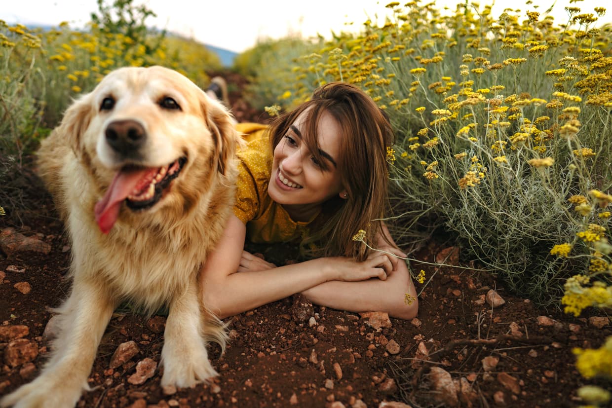 IStock 1266169618 1240x827 01398e00 4319 4445 b70e e3787fa8948b